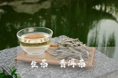 生茶 普洱茶/2023042845888